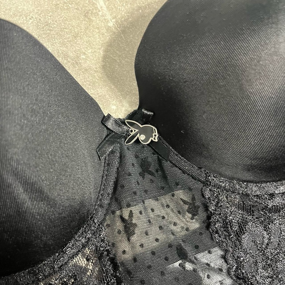 Vintage playboy bunny mesh corset